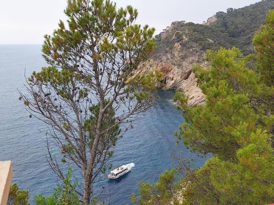 Апартаменти Cala Salions Balandro II Tossa De Mar Канет-де-Мар Екстер'єр фото