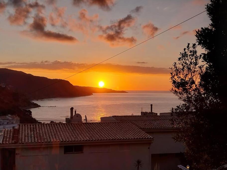 Апартаменти Cala Salions Balandro II Tossa De Mar Канет-де-Мар Екстер'єр фото
