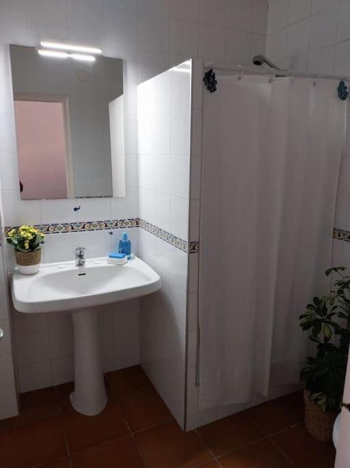 Апартаменти Cala Salions Balandro II Tossa De Mar Канет-де-Мар Екстер'єр фото