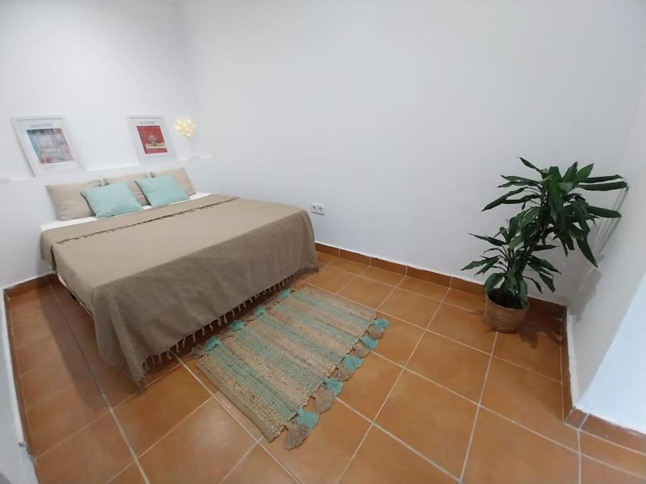 Апартаменти Cala Salions Balandro II Tossa De Mar Канет-де-Мар Екстер'єр фото
