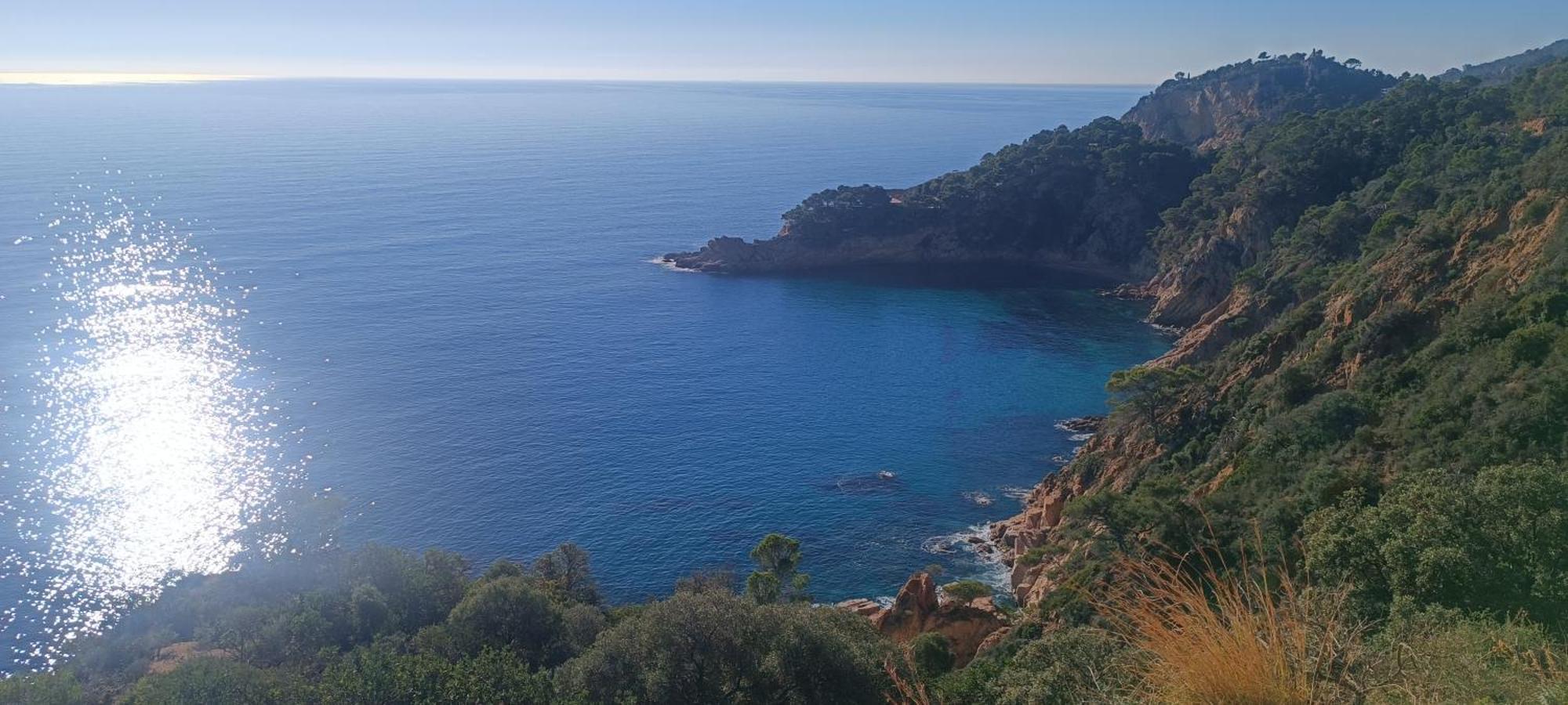 Апартаменти Cala Salions Balandro II Tossa De Mar Канет-де-Мар Екстер'єр фото